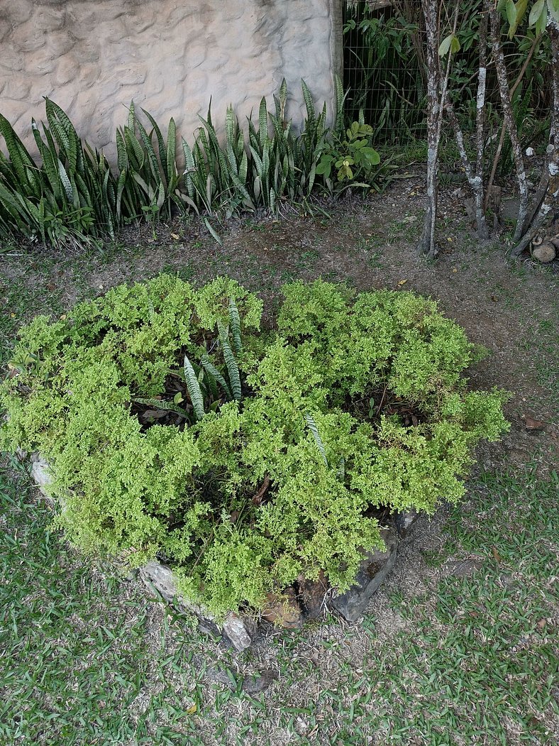 Bangalô Encantado